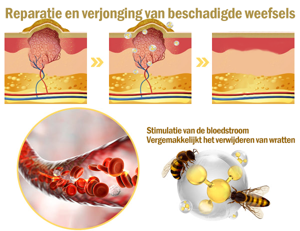 Krachtige Behandelingscrème voor de hele huid (KNMG Recommeded)